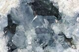 Large, Celestine (Celestite) Geode ( Lbs) - Large Crystals! #104615-1